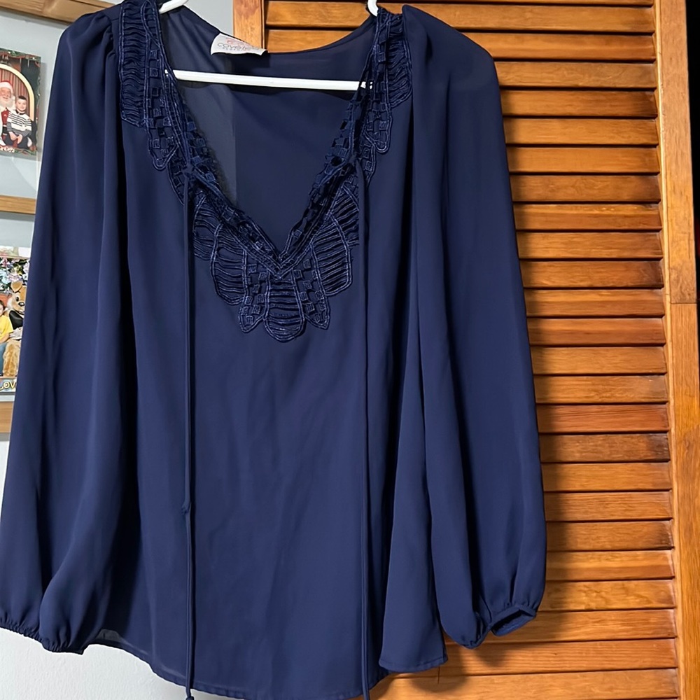 Sheer long sleeve blouse